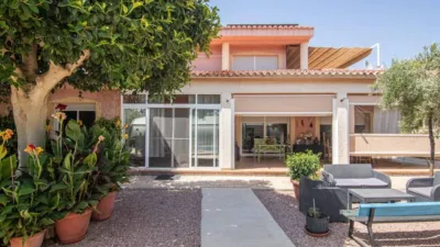 Casa – Elx - Elche - Vista 4