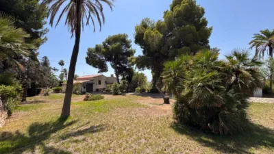 Chalet in Cala Advocat-Baladrar photo 4