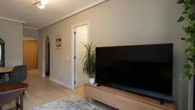 Apartment in Playa del Cura photo 4