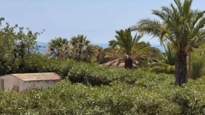 Chalet in Cala Advocat-Baladrar photo 29