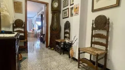 Apartment in Plaça de Toros photo 7