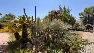 Chalet in Cala Advocat-Baladrar photo 16