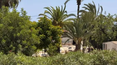 Chalet in Cala Advocat-Baladrar photo 30