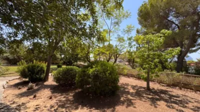 Chalet in Cala Advocat-Baladrar photo 15