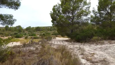 Terreno en venta en Calle Fosamai - Vista 5