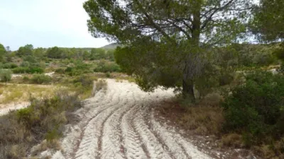 Terreno en venta en Calle Fosamai - Vista 2