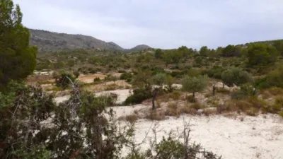 Terreno en venta en Calle Fosamai - Vista 3