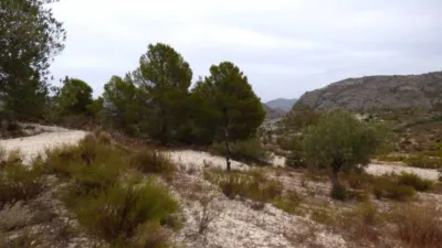 Terreno en venta en Calle Fosamai - Vista 4