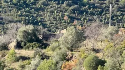 Rustic property in Atzeneta del Maestrat photo 13