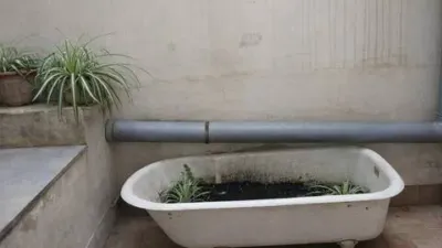 Apartment in Cort photo 4