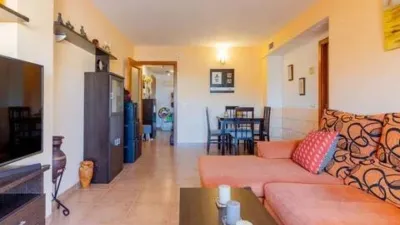 Attic Flat in Las Salinas photo 14