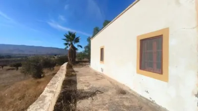 Rustic house on Doctor Artes Street photo 3