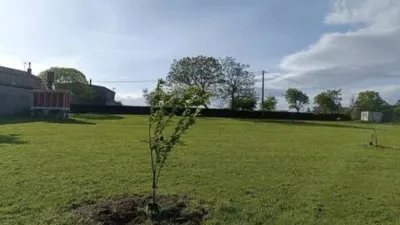 Terreno en venta en Poza (Cesuras) - Vista 4
