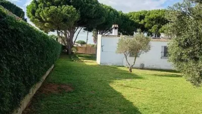 Rustic house in Novo Sancti Petri photo 30