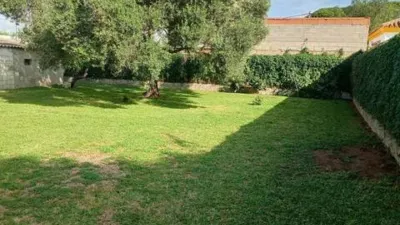 Rustic house in Novo Sancti Petri photo 11