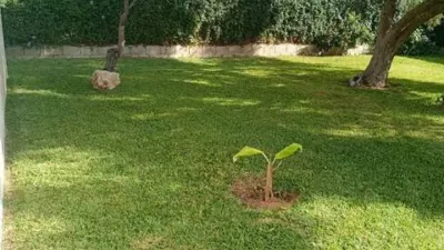 Rustic house in Novo Sancti Petri photo 15