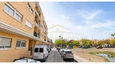Apartment in Almoradi photo 2