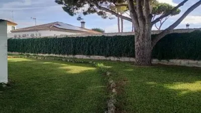 Rustic house in Novo Sancti Petri photo 8