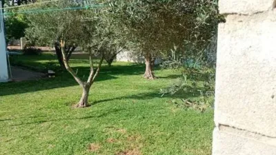 Rustic house in Novo Sancti Petri photo 14