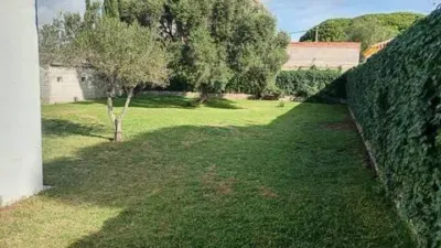 Rustic house in Novo Sancti Petri photo 17