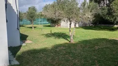 Rustic house in Novo Sancti Petri photo 16