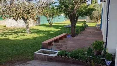 Rustic house in Novo Sancti Petri photo 3
