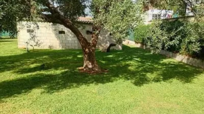 Rustic house in Novo Sancti Petri photo 6