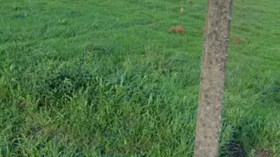 Terreno en venta en A Chantada (Requeira) - Vista 2