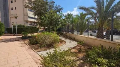Apartment on Carrer Toledo photo 23