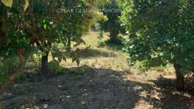 Casa en Corrales del Vino photo 4