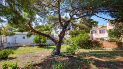 House on Isla Grosa Street photo 32