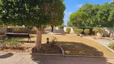 Apartment on Carrer Toledo photo 21