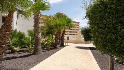 Terraced house in Aguas Nuevas-Torreblanca-Sector 25 photo 37