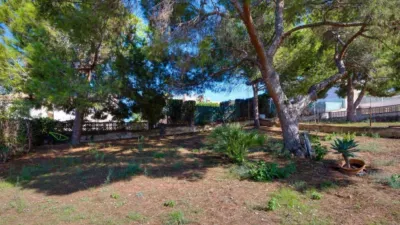 House on Isla Grosa Street photo 30
