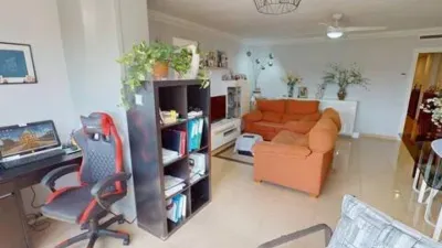 Apartment in Florida-Ciudad de Asís photo 29