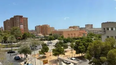 Apartment in Florida-Ciudad de Asís photo 52