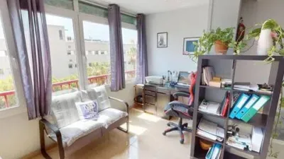 Apartment in Florida-Ciudad de Asís photo 23