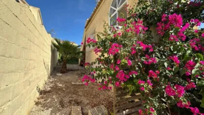 Casa – San Fulgencio - Vista 4