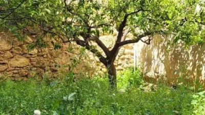 Terraced house in Altura photo 4