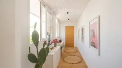 Apartment in Palma de Mallorca photo 2