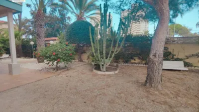Apartment in Playa de San Juan photo 29