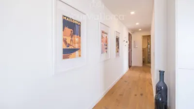 Apartment in Calvià photo 2