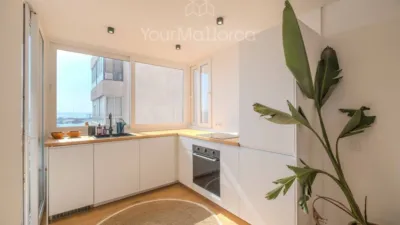 Apartment in Palma de Mallorca photo 5