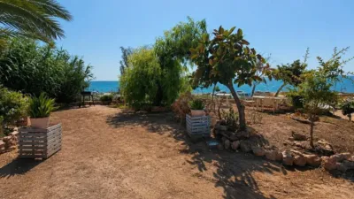 House in Centre-Port-Platja Llevant photo 35