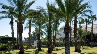 House in Gran Alacant photo 42