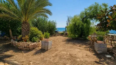 House in Centre-Port-Platja Llevant photo 36