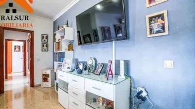 Apartment on Avenida de las Ciencias-Emilio Lemos photo 4