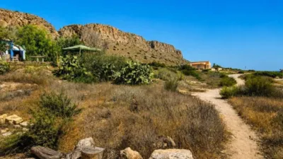 House in Centre-Port-Platja Llevant photo 42