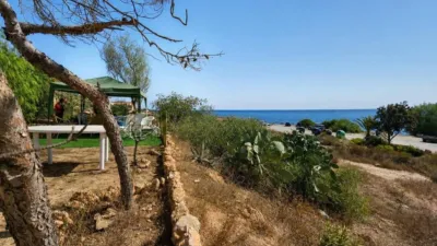 House in Centre-Port-Platja Llevant photo 38