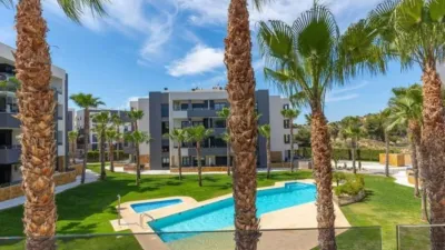 Pis – Orihuela - Vista 2